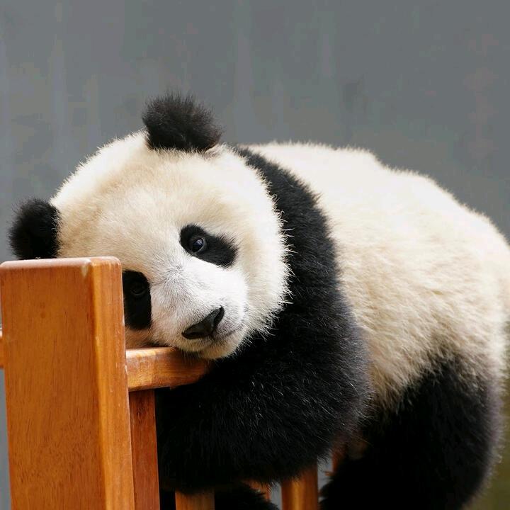 迁就一生