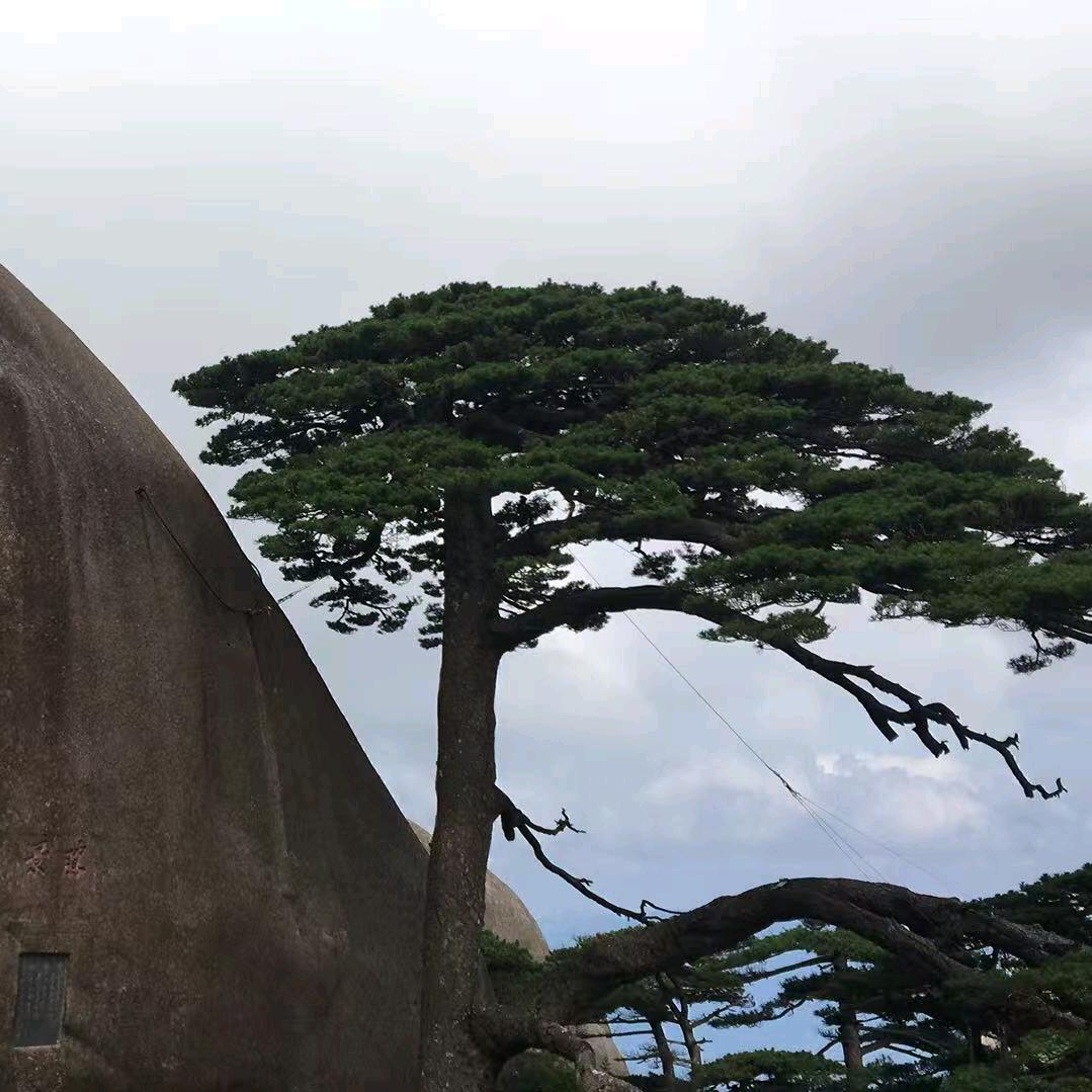 夜影( ﹡ˆoˆ﹡ )😘