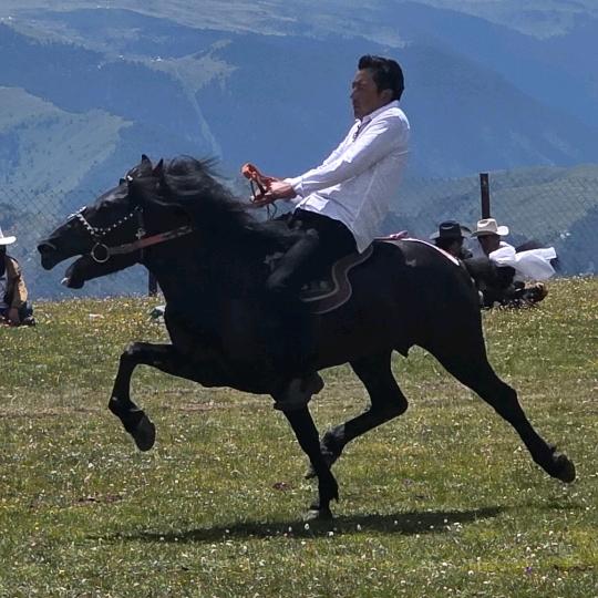 རྟ་མཆོག་བདག་པོ།