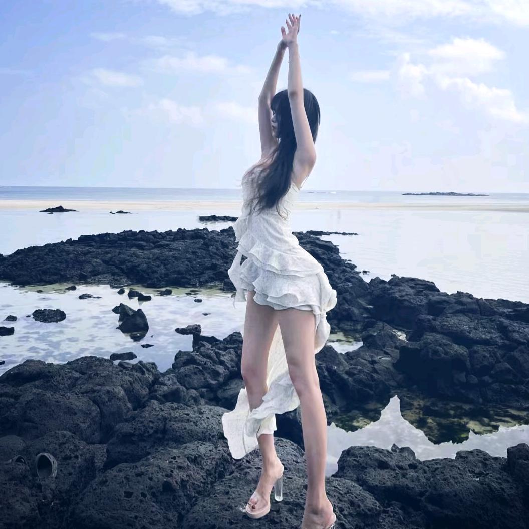 小小茹🐬