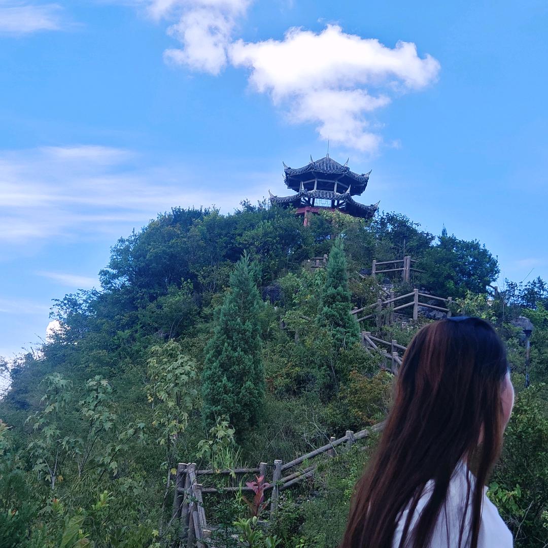 杯中倒满无情酒