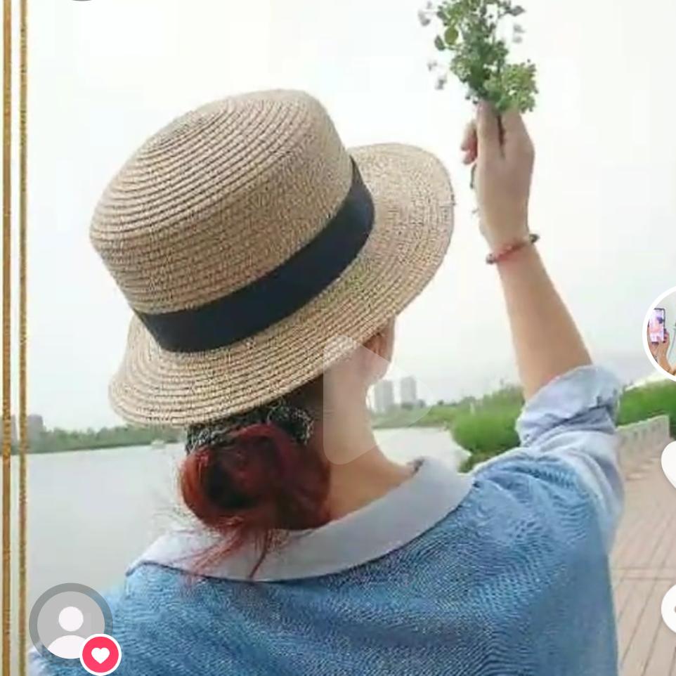 夏未凉