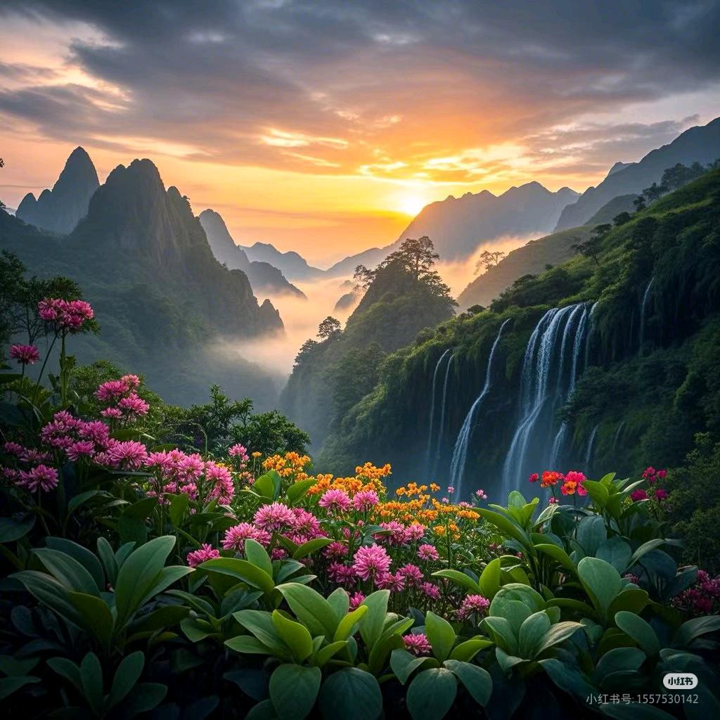 紫气东来 好运到