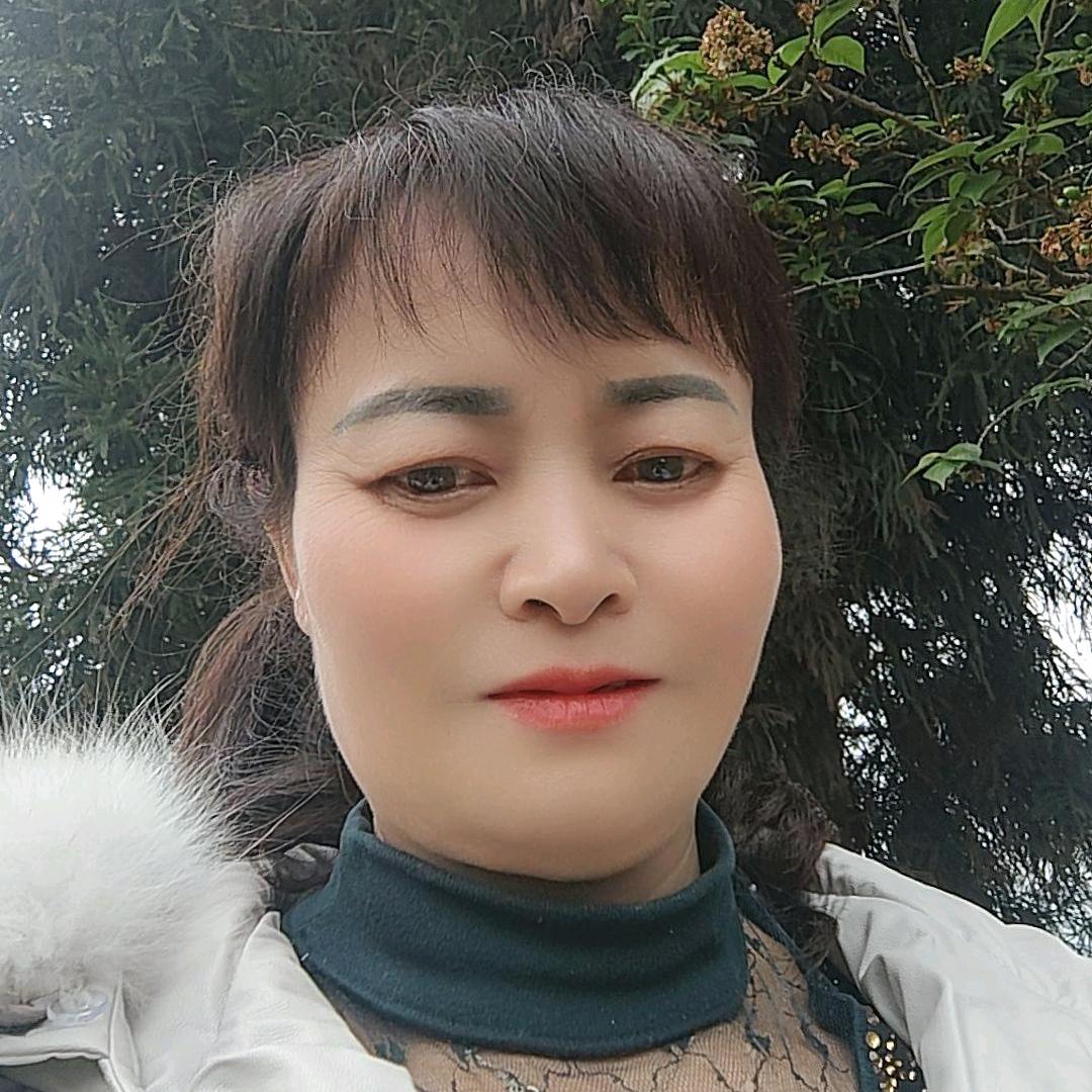 正琴（焦）