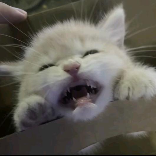 Toska