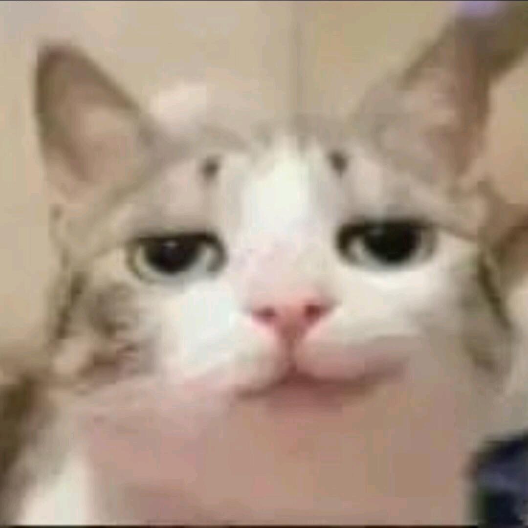 Yu-_-||