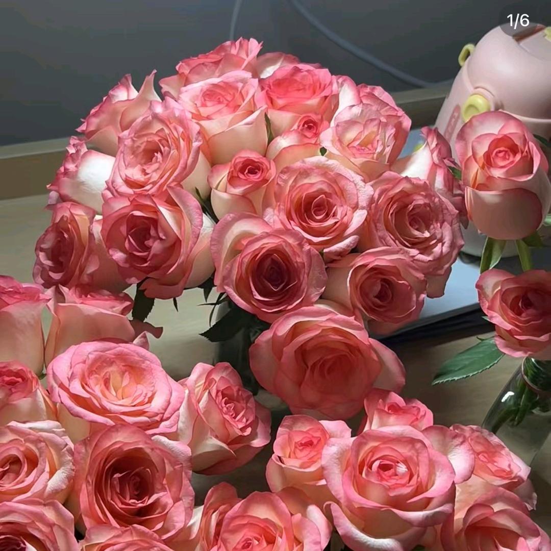 斗南贩卖浪漫的男人🌷