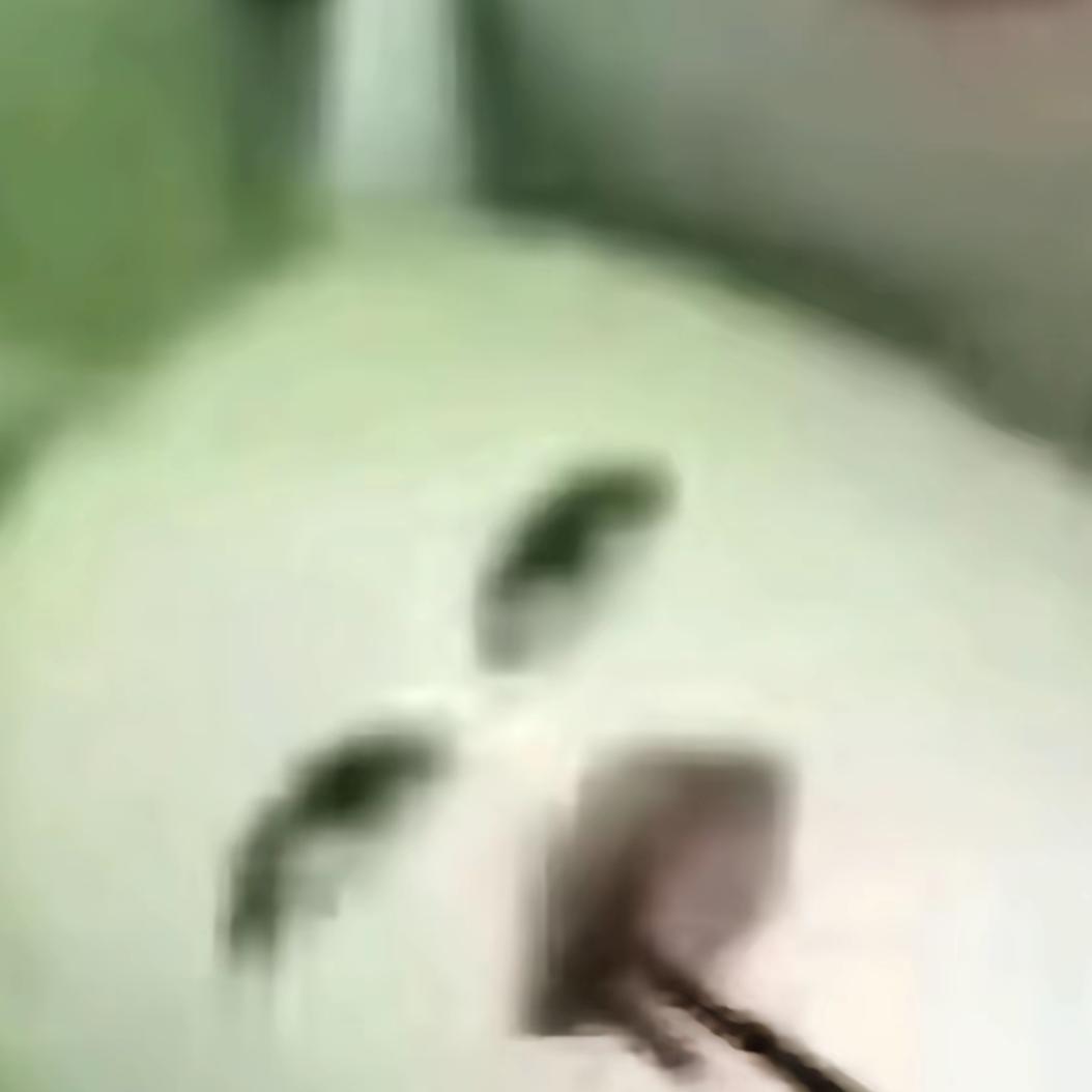 我艹gl咋这好吃