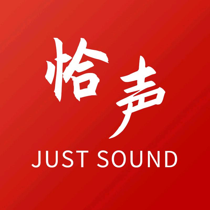 QIASHENG音响旗舰店
