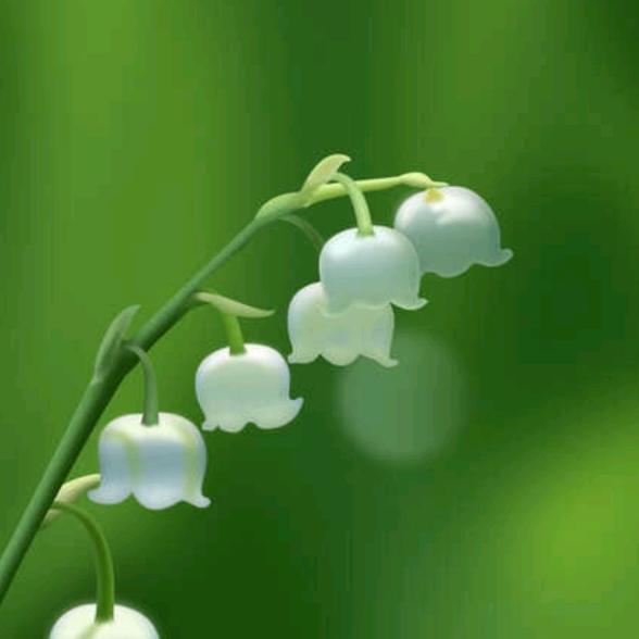 莱芜保利管道固金卫浴 3