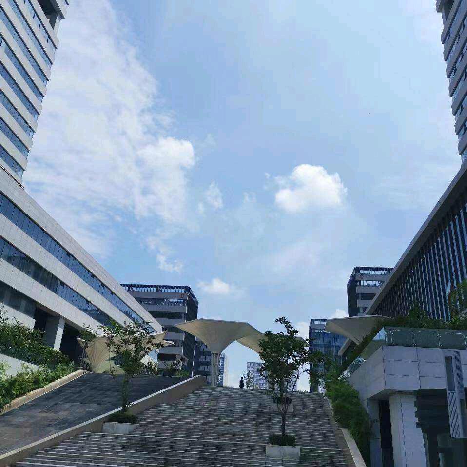 沐云堂工艺品店清元堂古美术