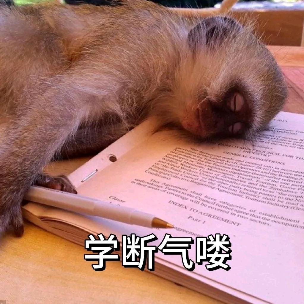 走路🚶‍♂️送外卖