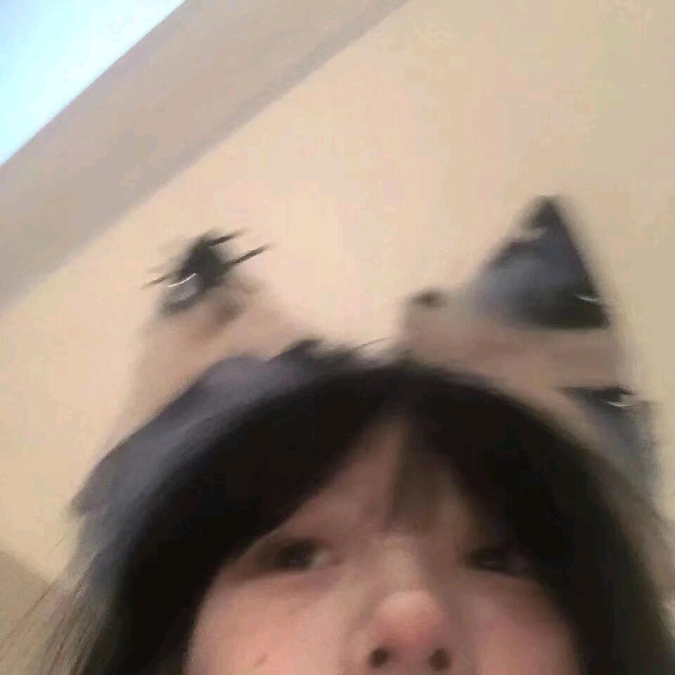 流动音乐