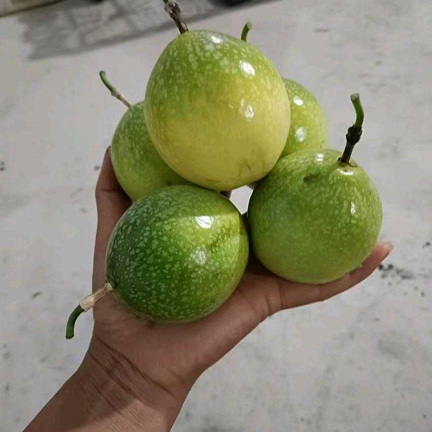 天眼山珍果蔬（代销、代购）