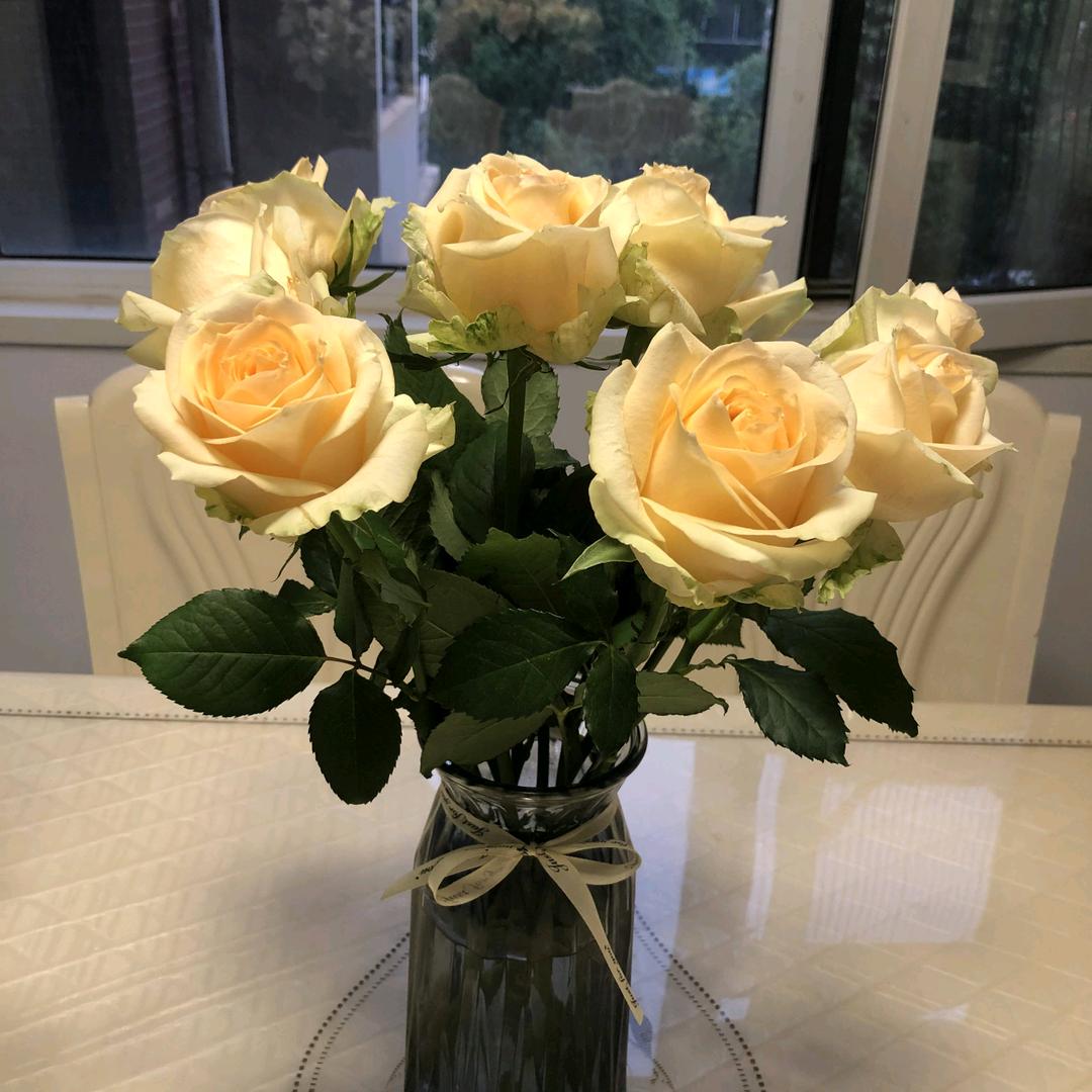 是小吴呀！ (っ˘зʕ•̫͡•ʔ