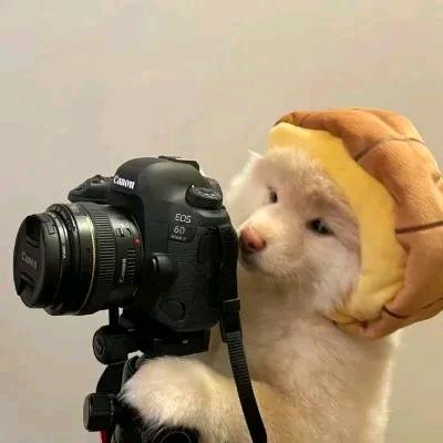 ˗ˋˏ Lᵃⁿ不不ˎˊ˗