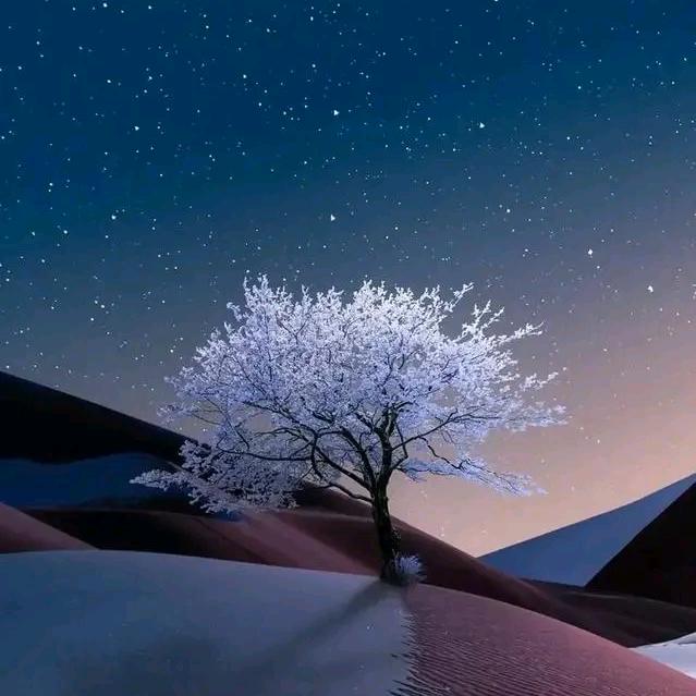 🥀ꦿ꯭习惯一个人💞꧔ꦿ᭄