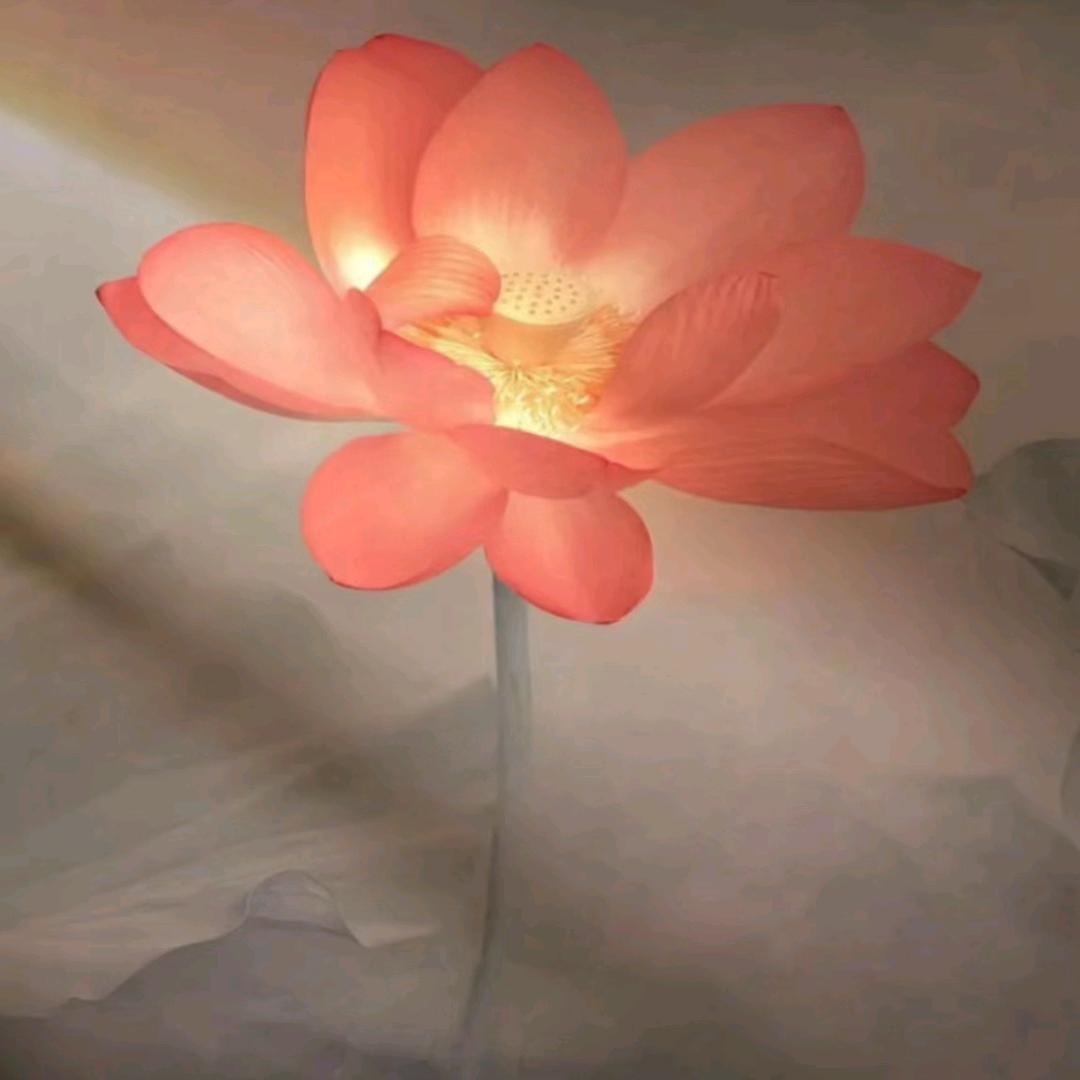 蒲记-炒鸡饸络面