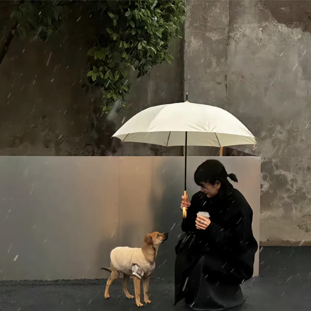 桔梗.