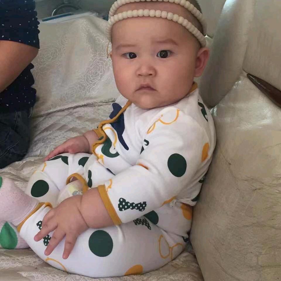 阿尔卑斯
