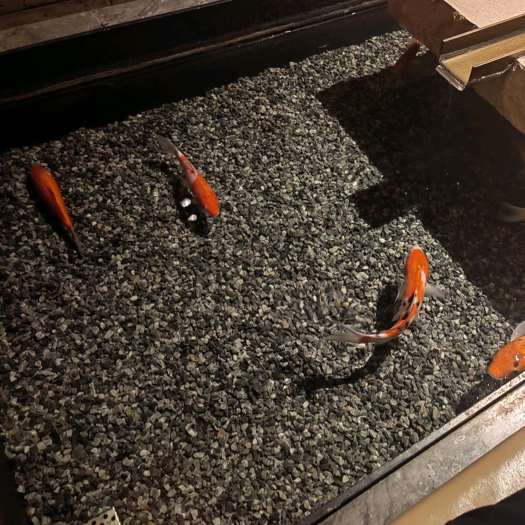 生产泡沫包装珍珠棉包装