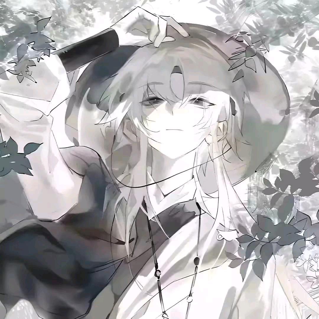 枫叶🍁