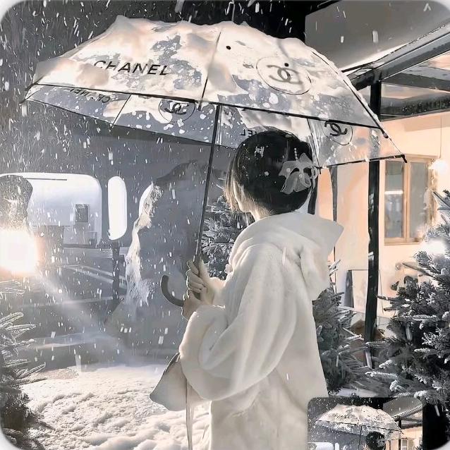 橙橙子