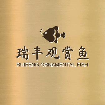 瑞丰观赏鱼