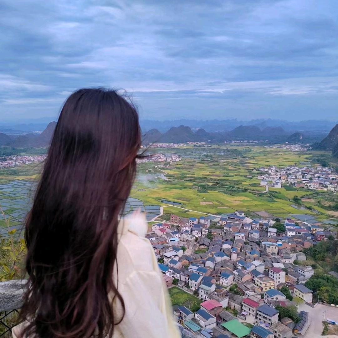鲸鱼不惊