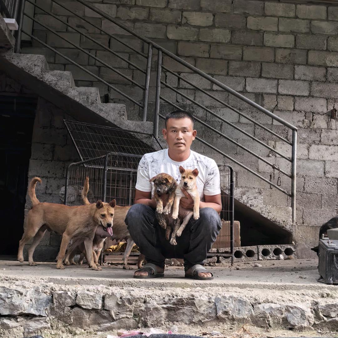 广西土猎团哥，诚信犬舍