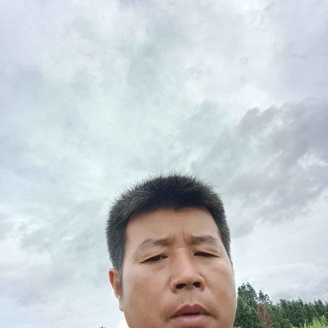 丁德平