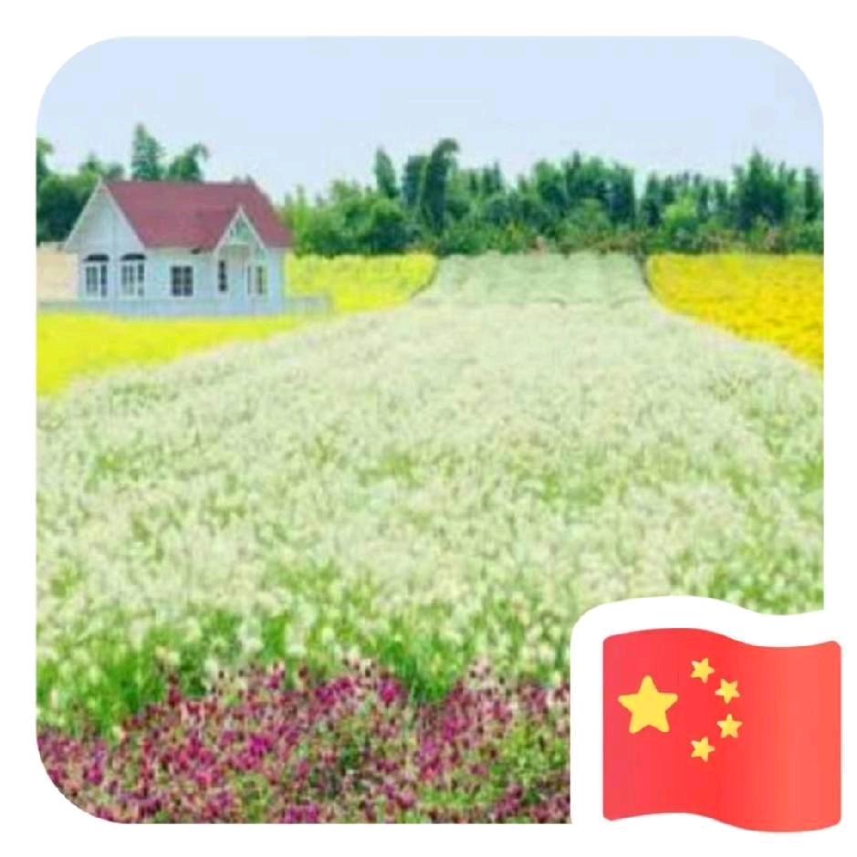 转转