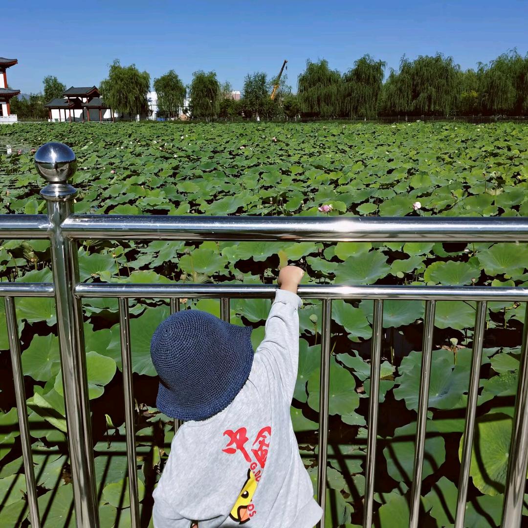 扣扣百货商行（上午不定时开播）