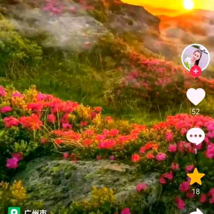 请莫靠近
