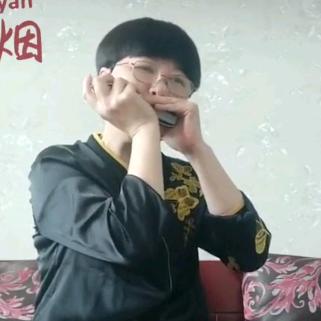 小小口琴