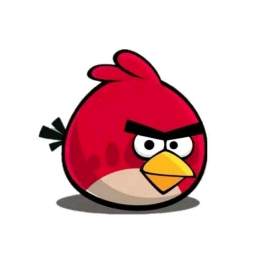 一只愤怒的bird