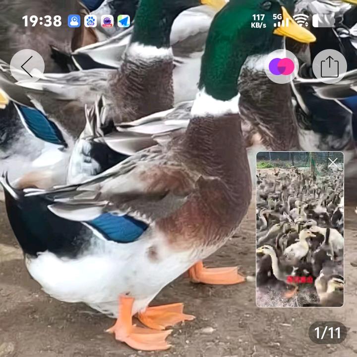 诚信第一