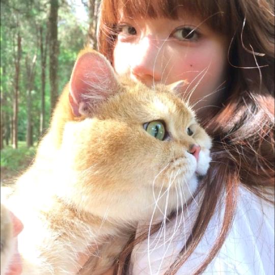 古拉拉