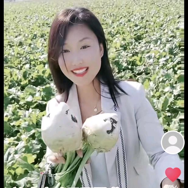 芥菜女王叶子