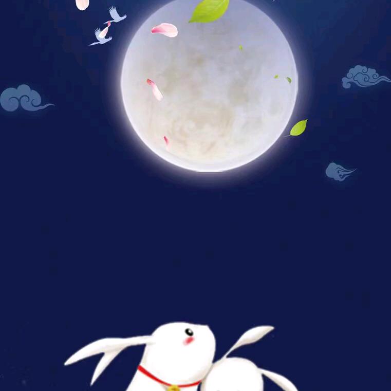 沉碎不知归
