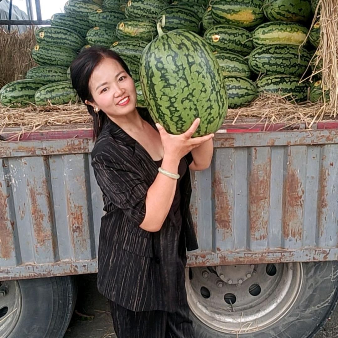 杨梅精品水果