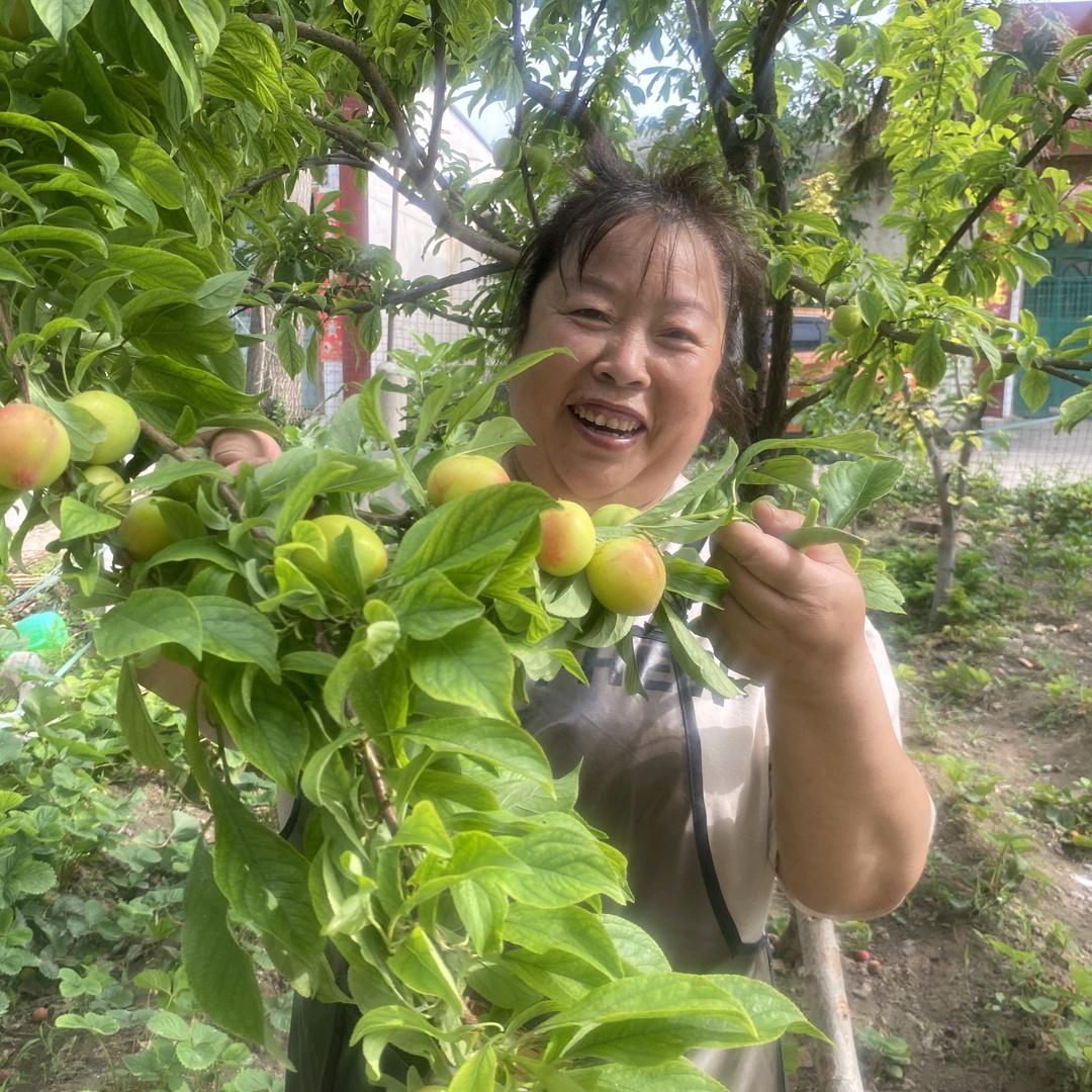 河南儿媳四川婆