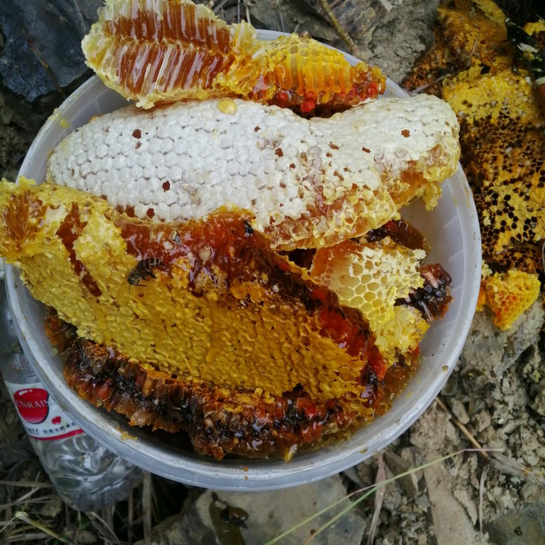 只想用一生守护着你