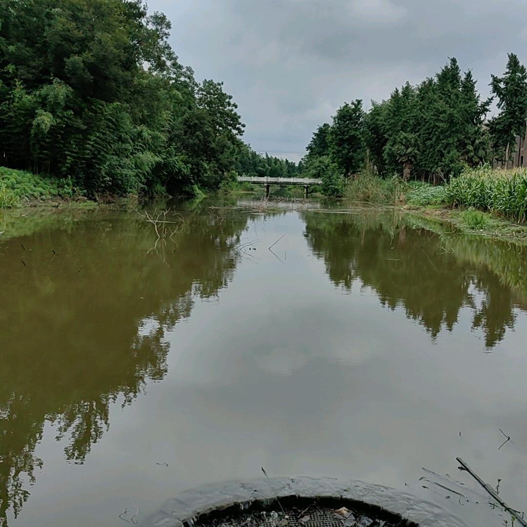 锦泰隆