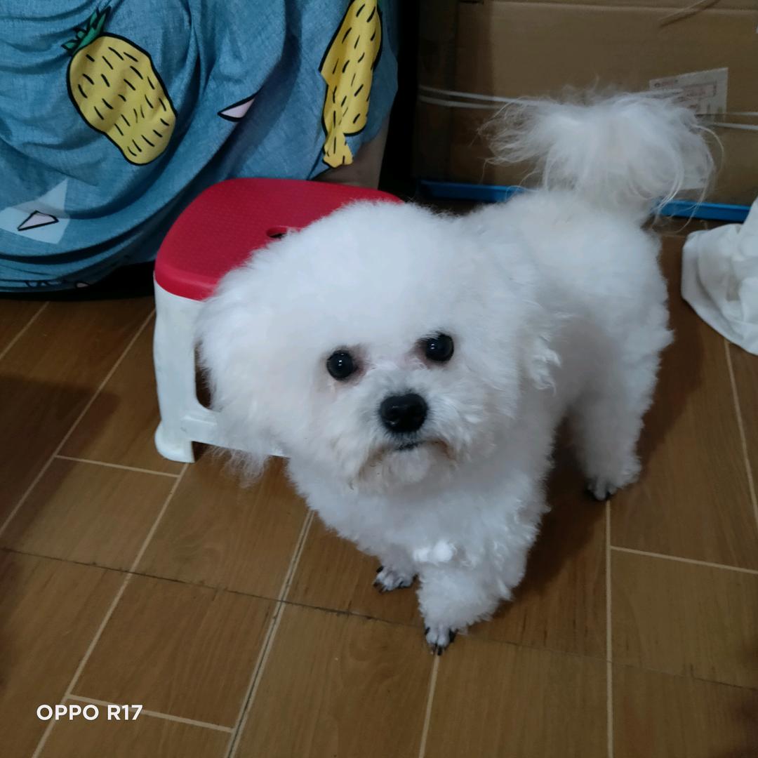 🌈人间清醒🌈🌈