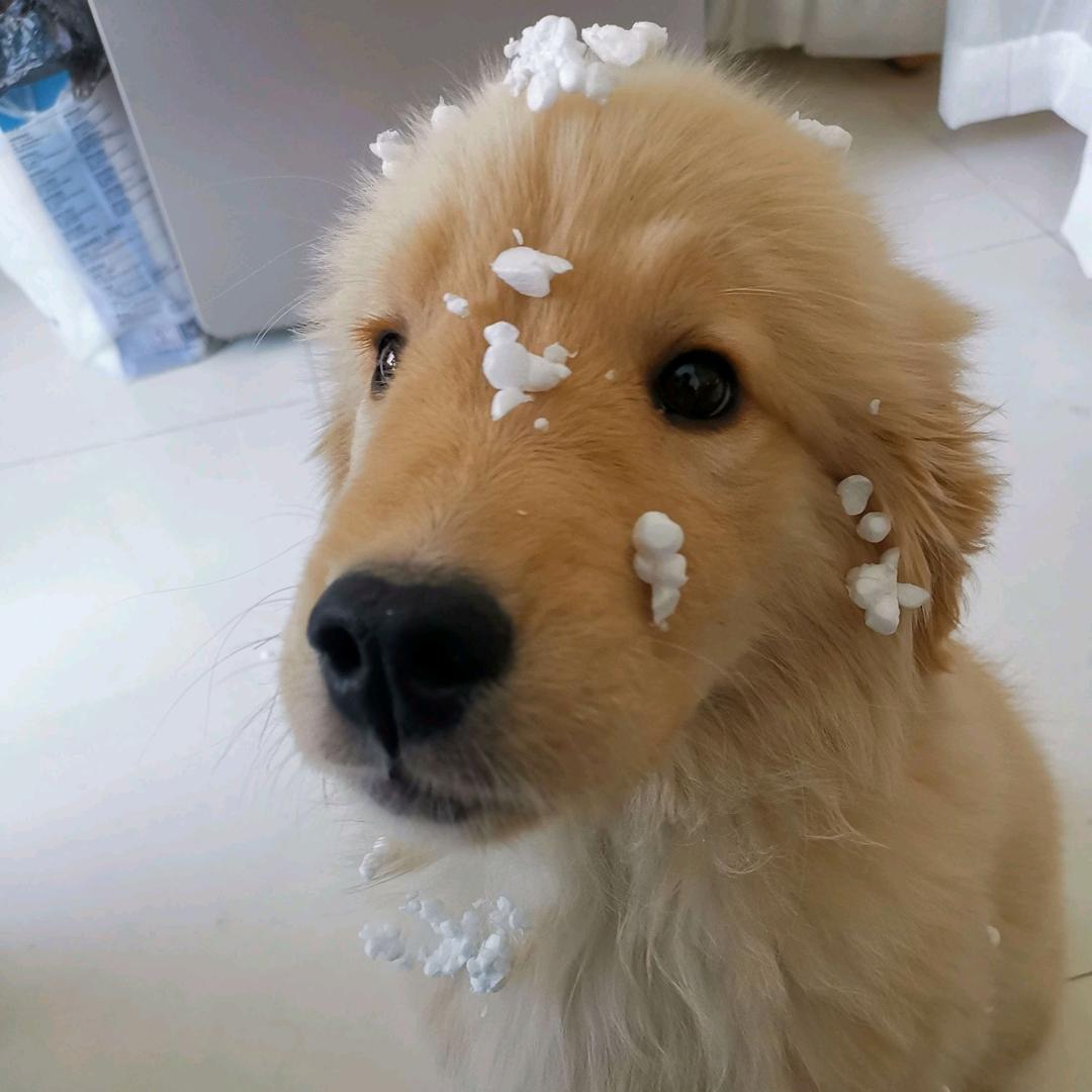 别拿豆包不当干粮