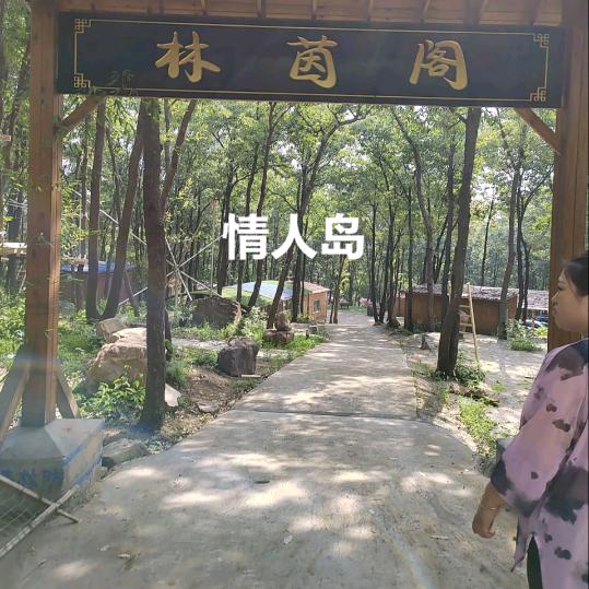 老刘