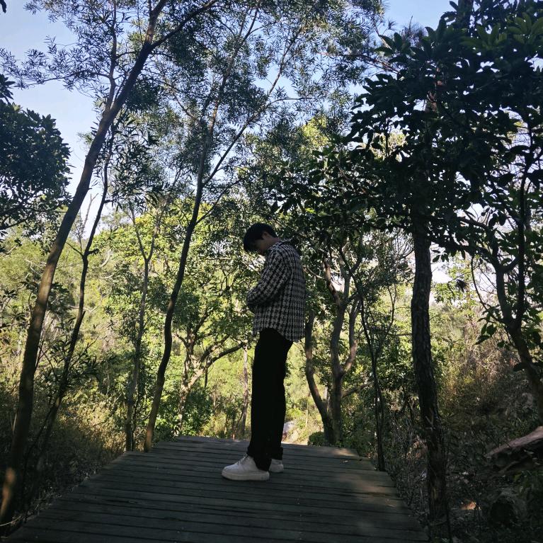 晓飞