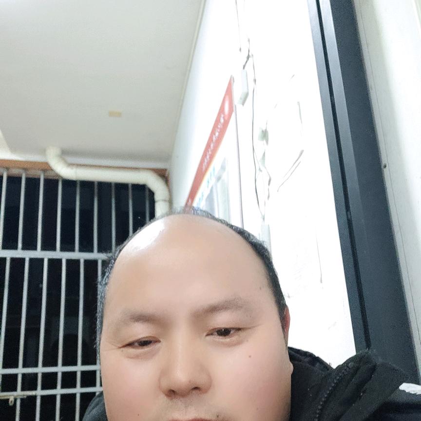 楚怡洪金宝