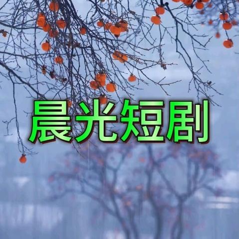 晨光短剧